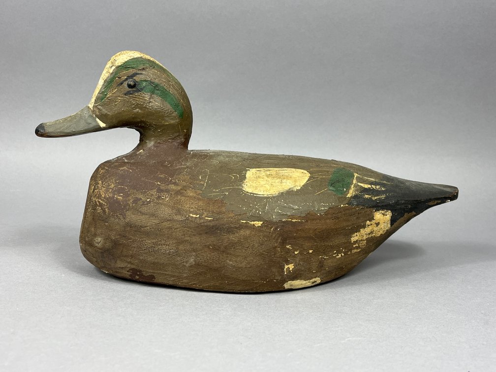Widgeon by Miles Hancock 