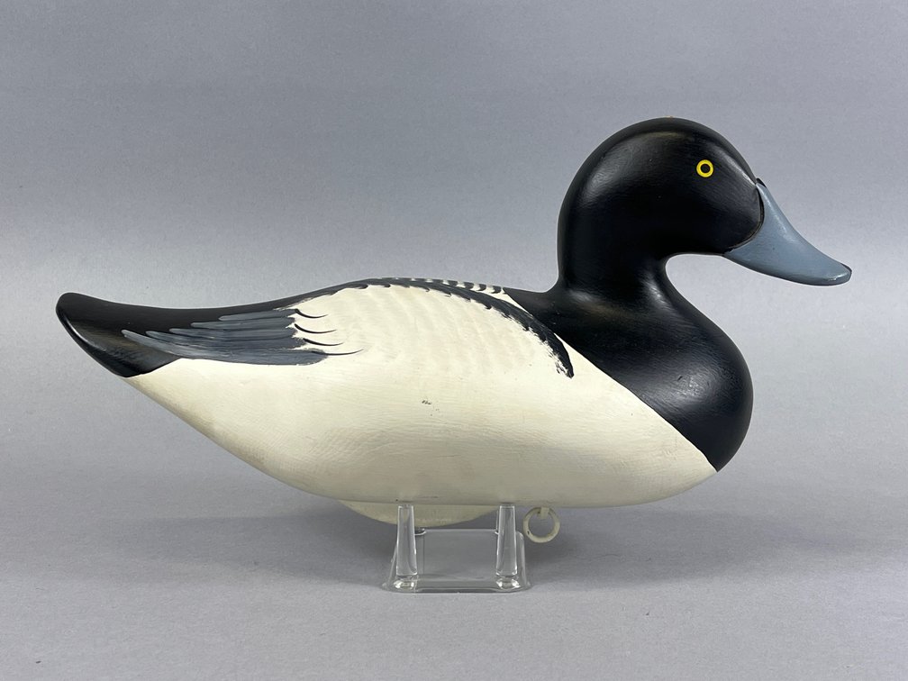 Bluebill by Charles Jobes