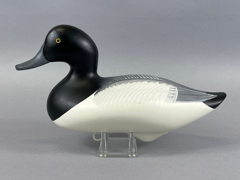 Bluebill by Patrick Vincenti