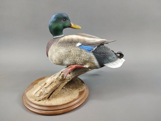 Image for January Online Sportsman's Auction 2024