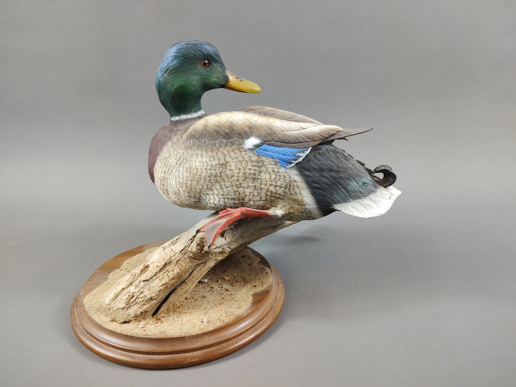 Image for January Online Sportsman's Auction 2024