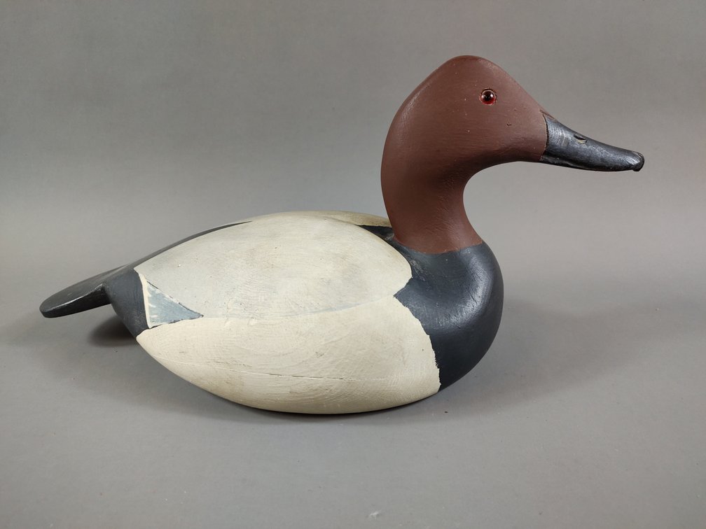 Canvasback by Travis Tyler