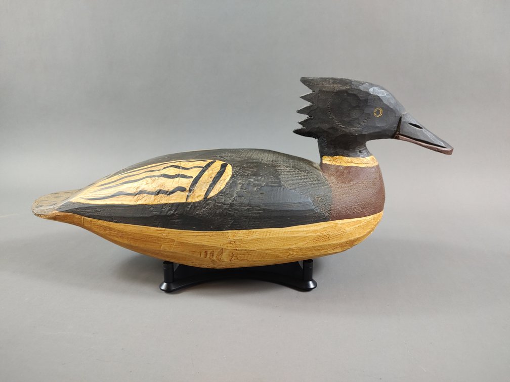 Merganser by Jimmy Bowden