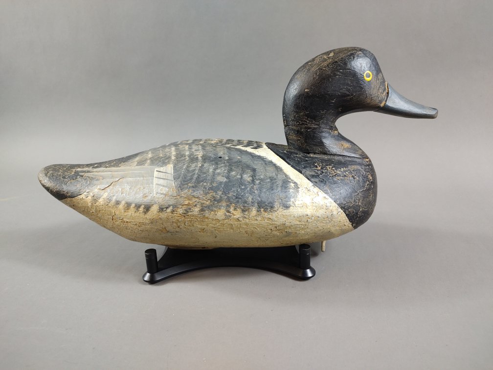 Bluebill by Paul Gibson