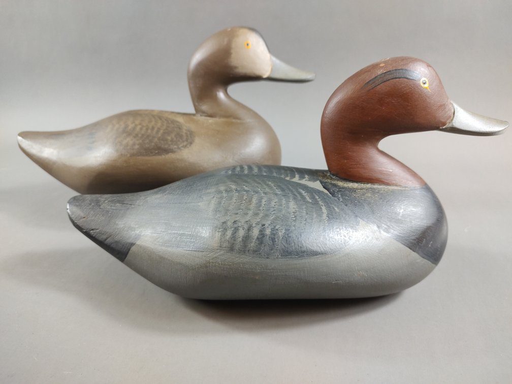 Redhead Pair by Paul Gibson 