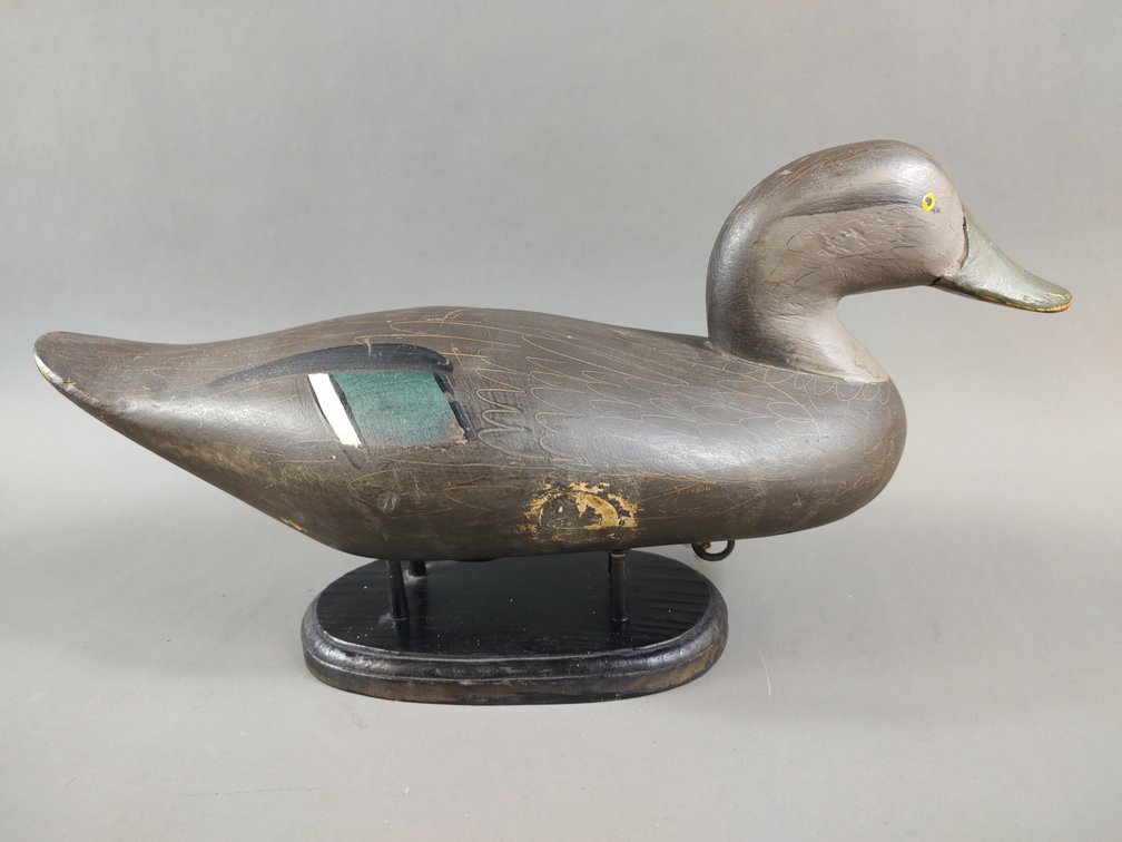 Black Duck by Madison Mitchell 