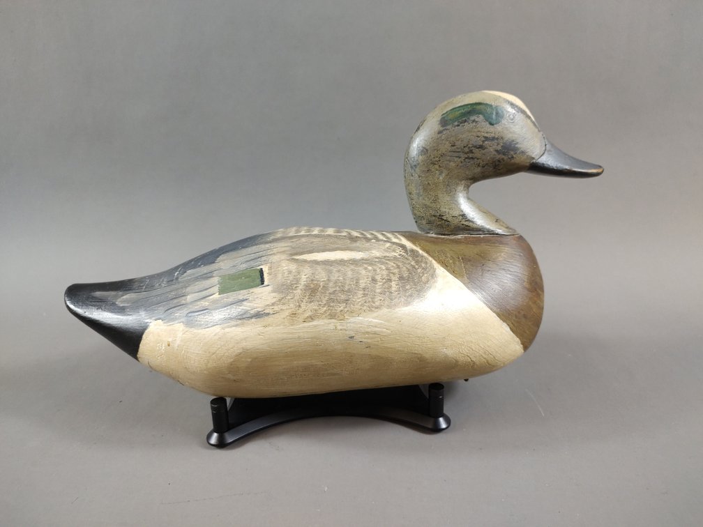 Widgeon by Paul Gibson 