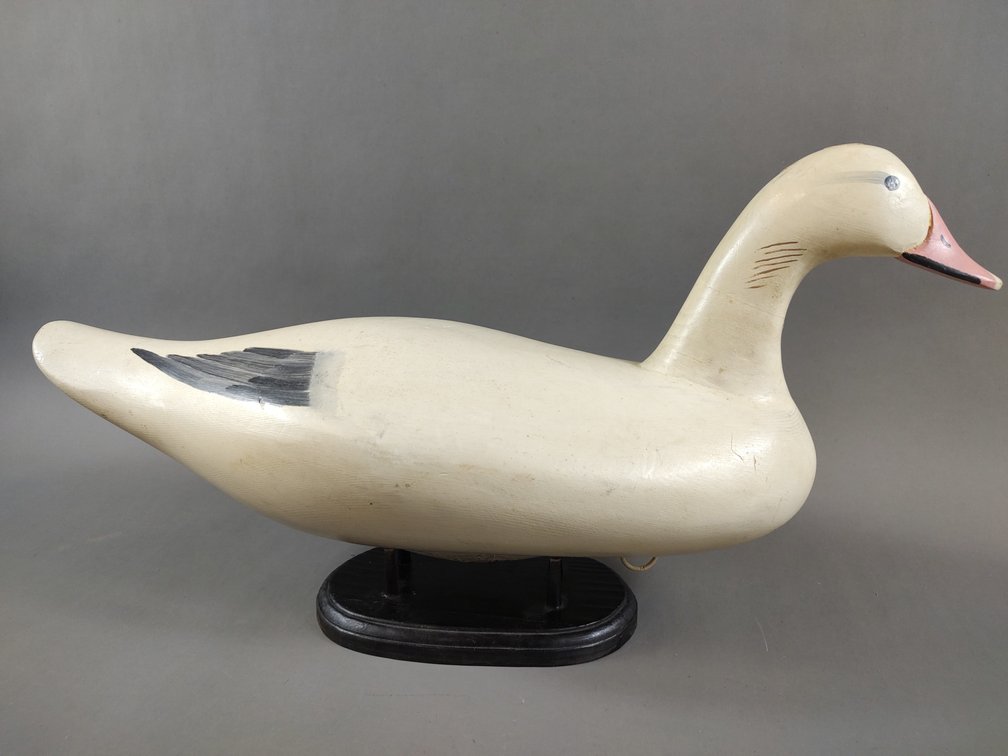 Snow Goose by Madison Mitchell 