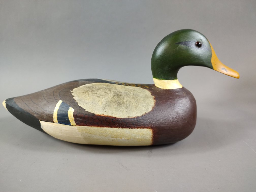 Mallard Drake by Cathy Buck