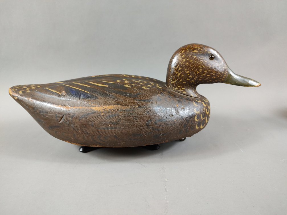 Black Duck by Wildflower Factory 
