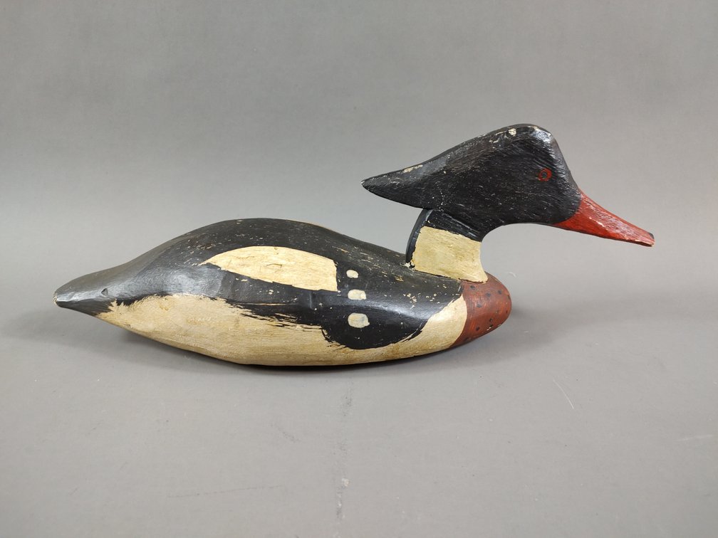 Folky Red Breasted Merganser