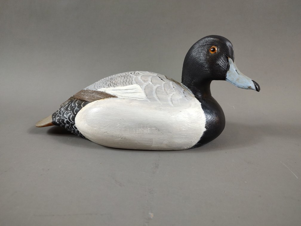 Lesser Scaulp by Dave Gibson 