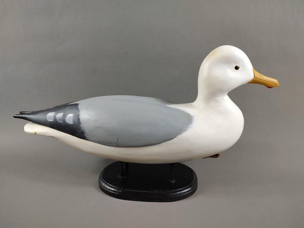Herring Gull by Gene Marshall 