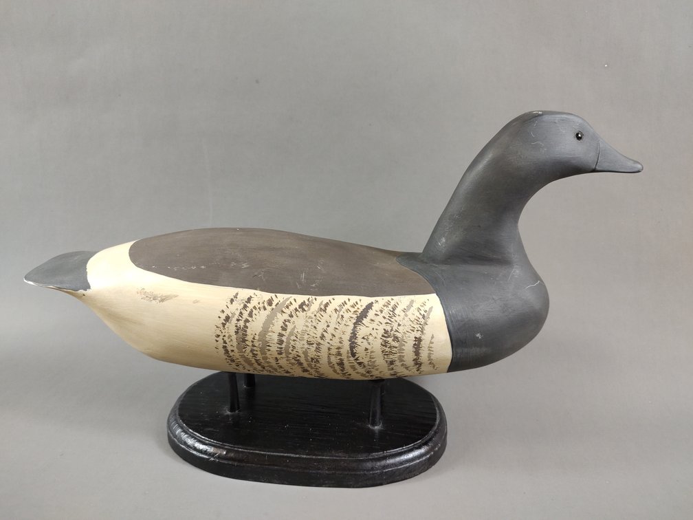 New Jersey Brant