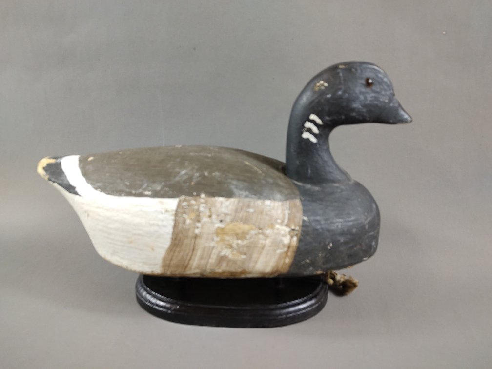 Brant by the Wildflower Factory 