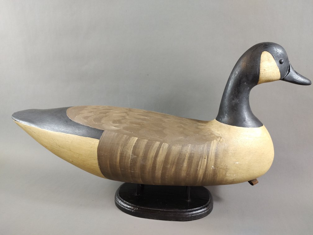 Canada Goose by Seabrook & Birdsall