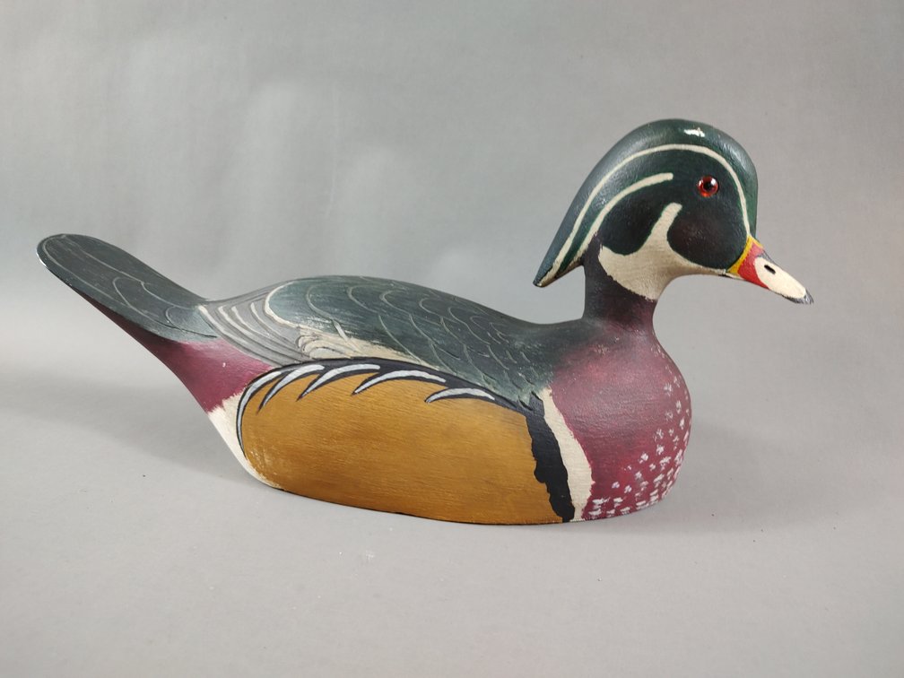 Wood Duck by John Gass