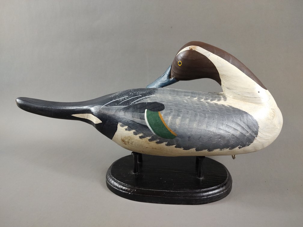 Pintail by Vernon Bryant 