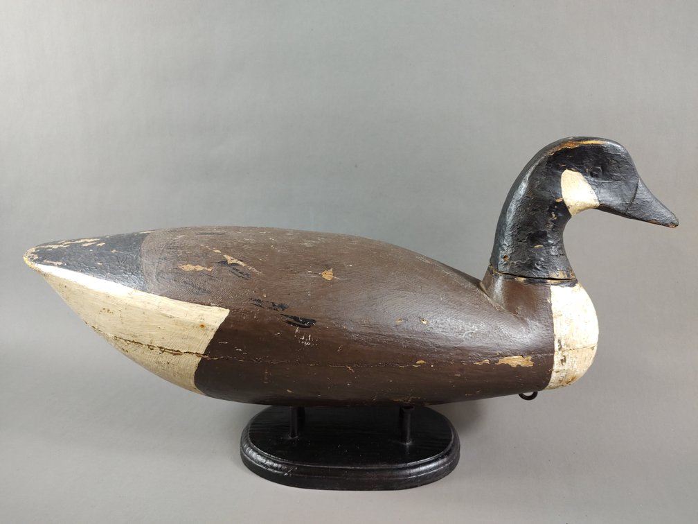 Canada Goose from New Jersey 