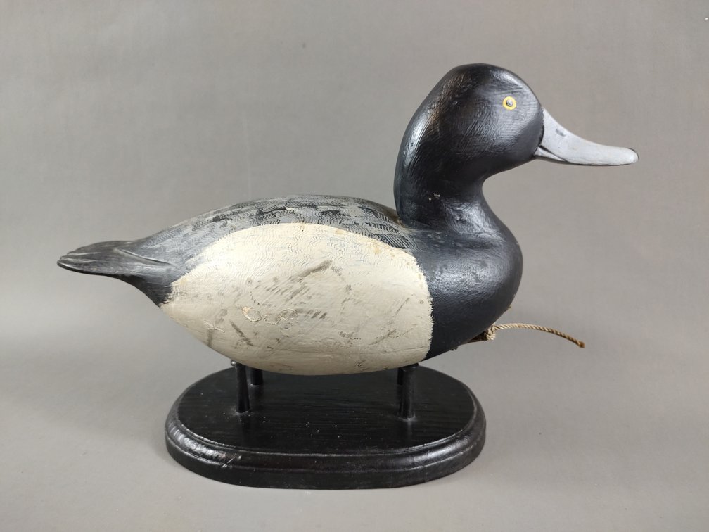 Bluebill by David Rhodes