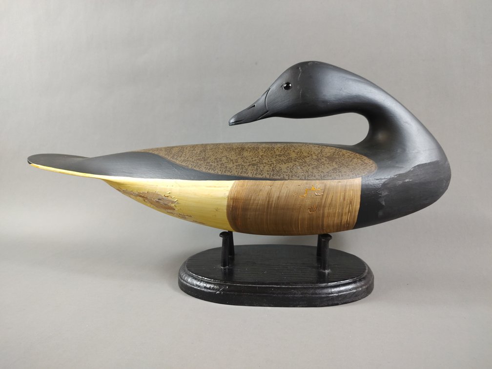 Preening Brant by Robert Daley 