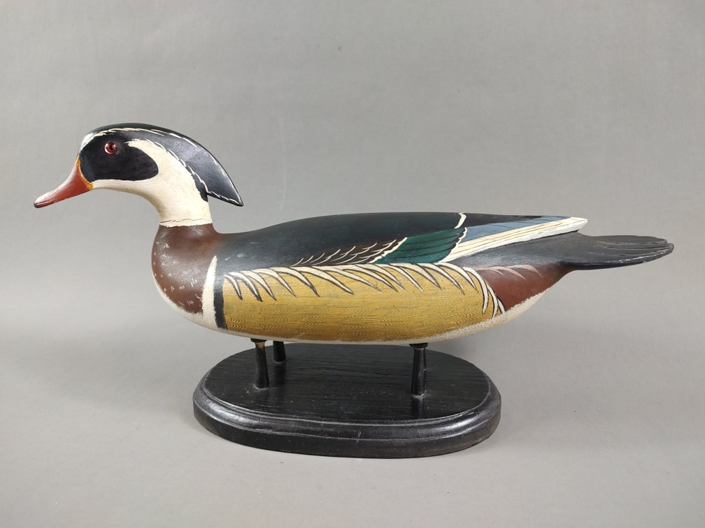 Wood Duck by Wm. Ethington