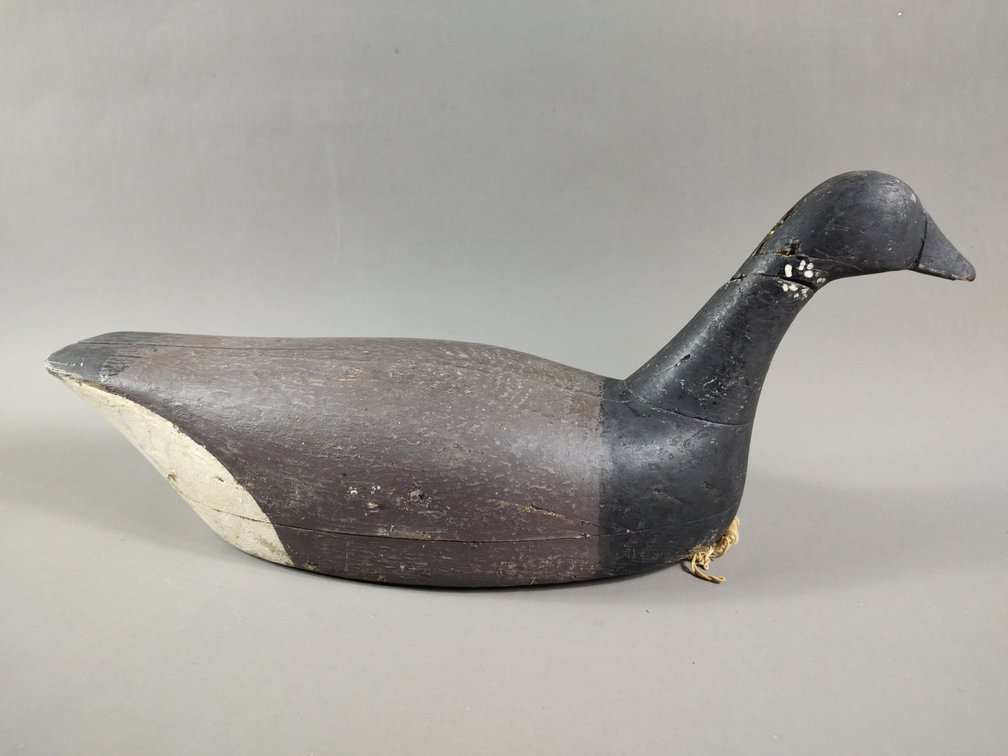 Brant from New Jersey 