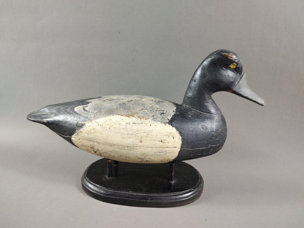 Bluebill from New Jersey 