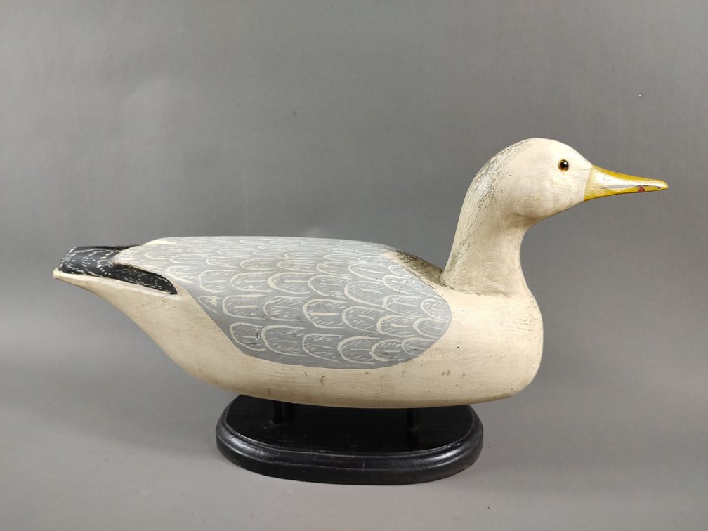 Gull by Eugene Hendrickson 