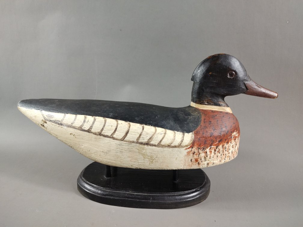 Red Breasted Merganser from Long Island, NY