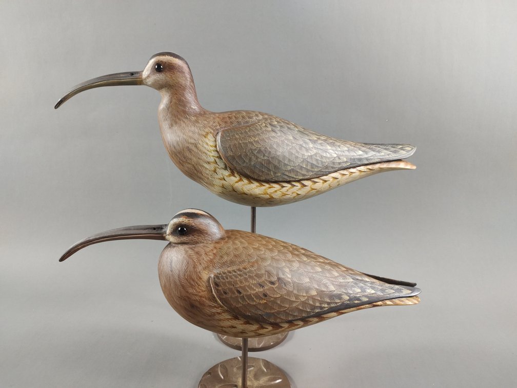 Curlew Pair by David Rhodes 