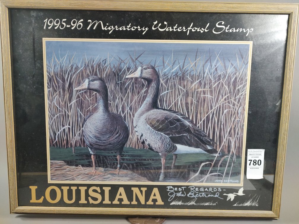 Migratory Waterfowl Print by John Bertrand