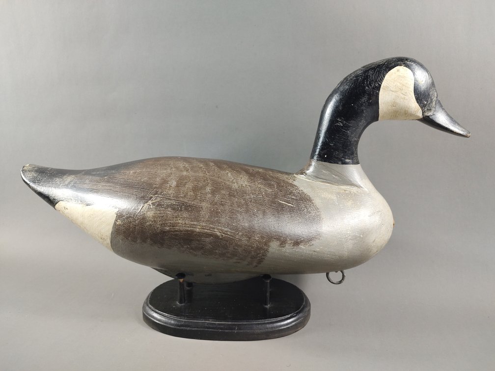 Canada Goose by Madison Mitchell 