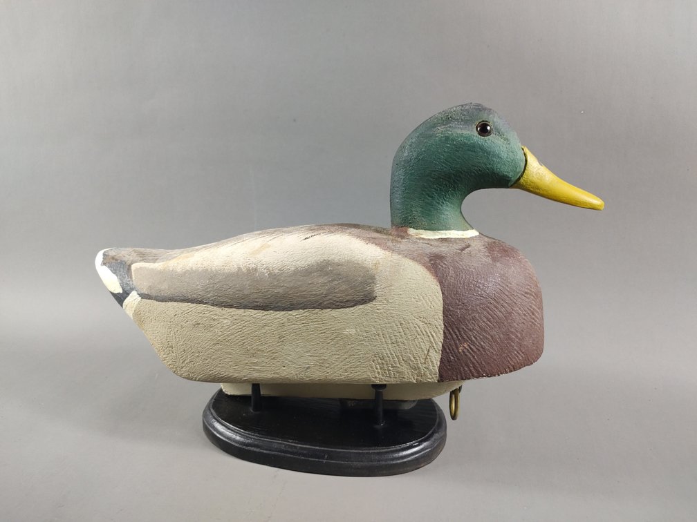Mallard Drake by D. Hill