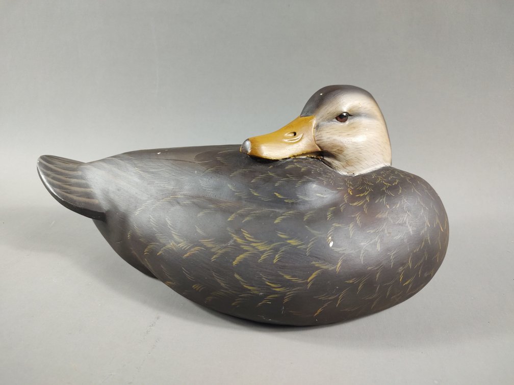 Black Duck by Steven Brettell