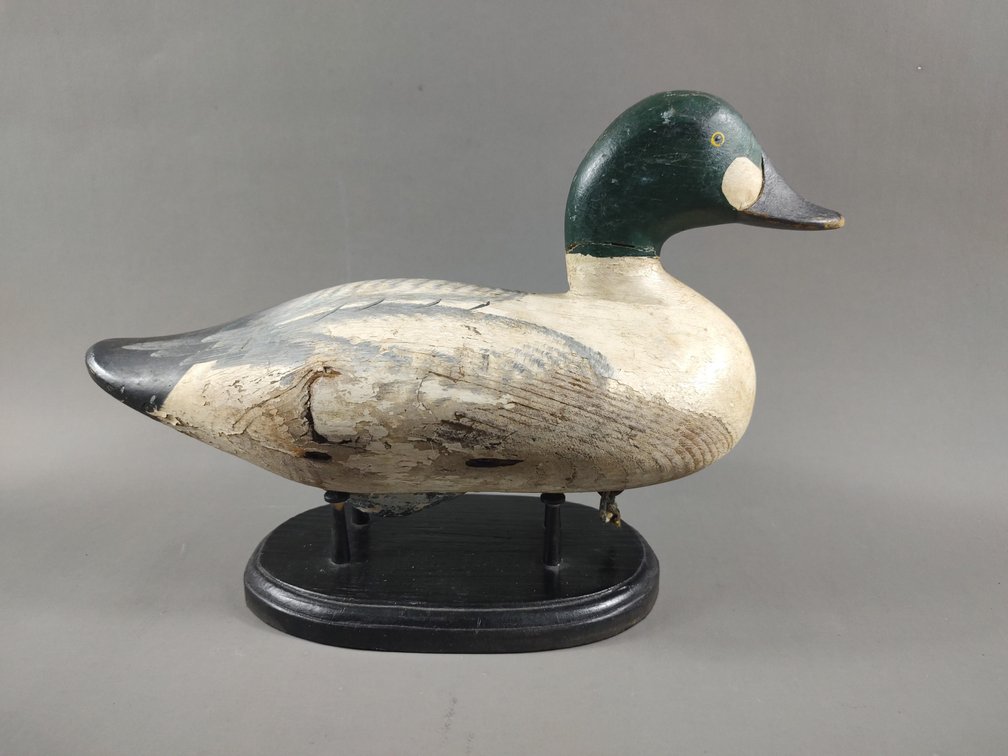 GoldenEye by Madison Mitchell 