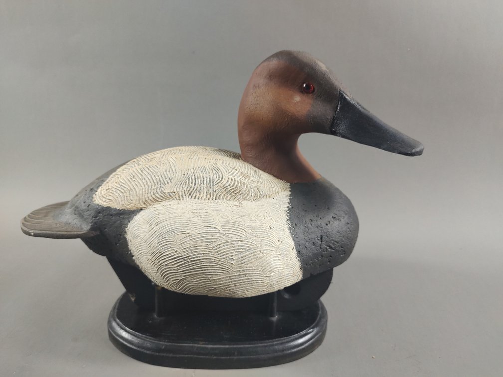 Canvasback by Mike Smyser 
