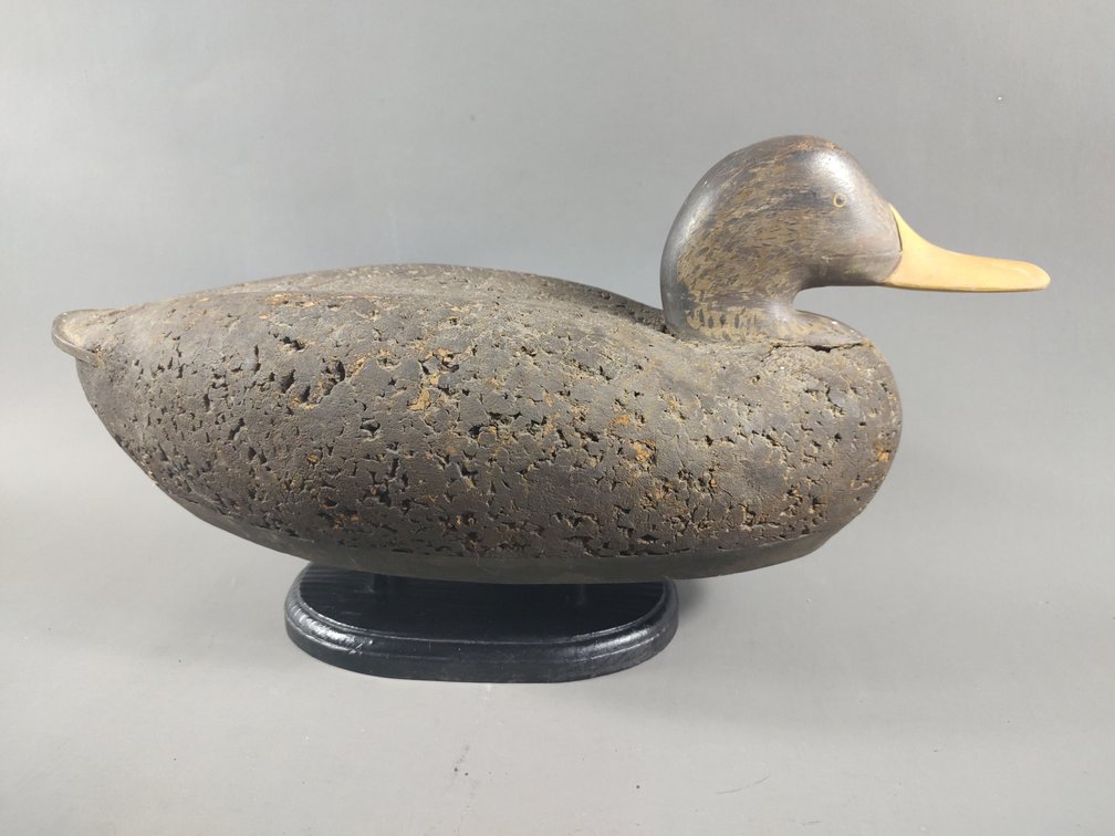 Black Duck by Madison Mitchell 