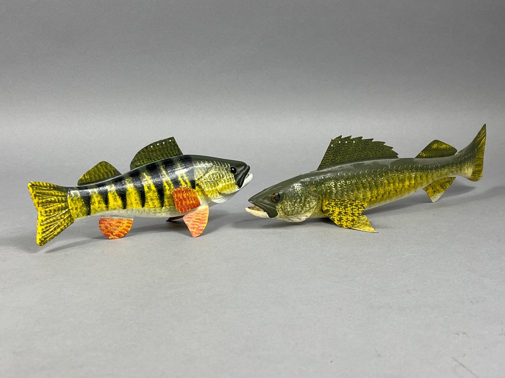 Walleye and Yellow Perch 
