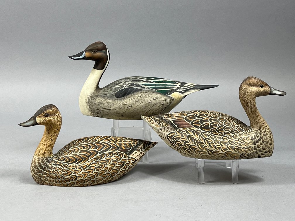 Pintail Mini Trio by John Lawrence 