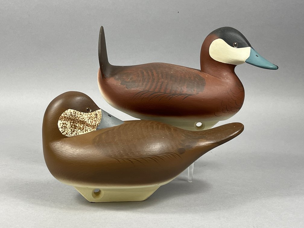 Ruddy Duck Pair by Charlie Bryan