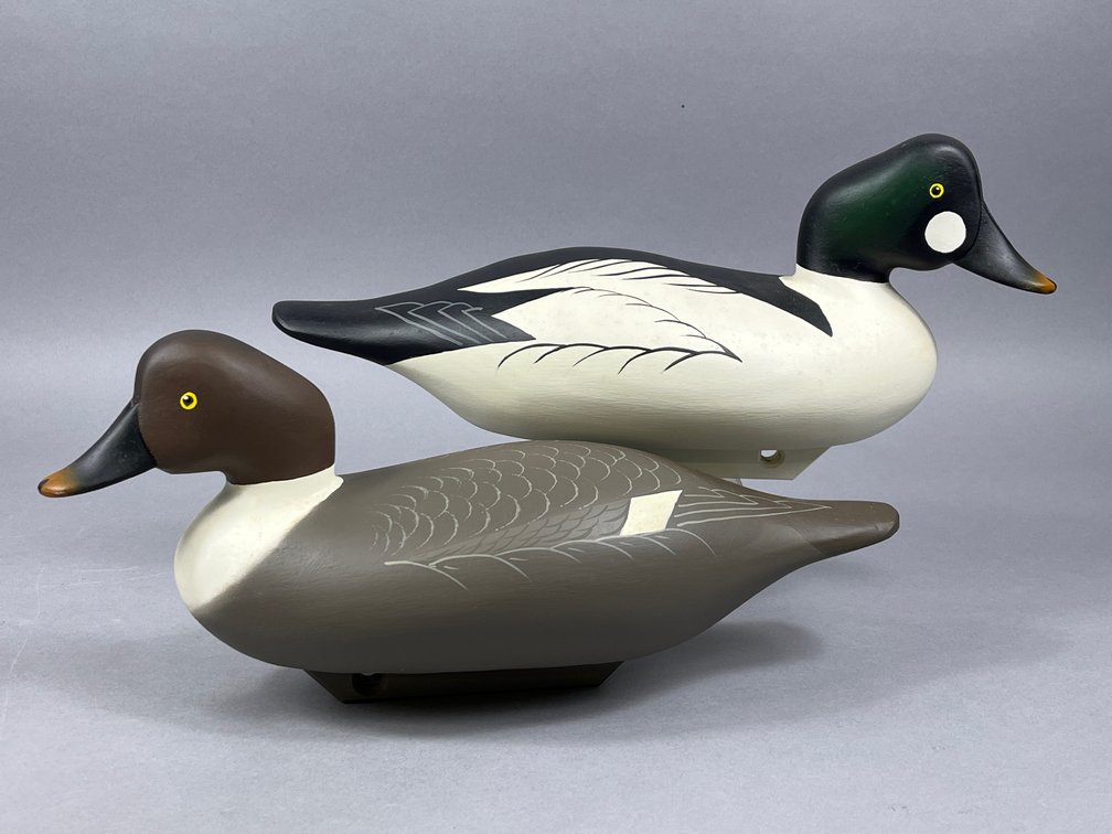 Goldeneye Pair by Charlie Bryan