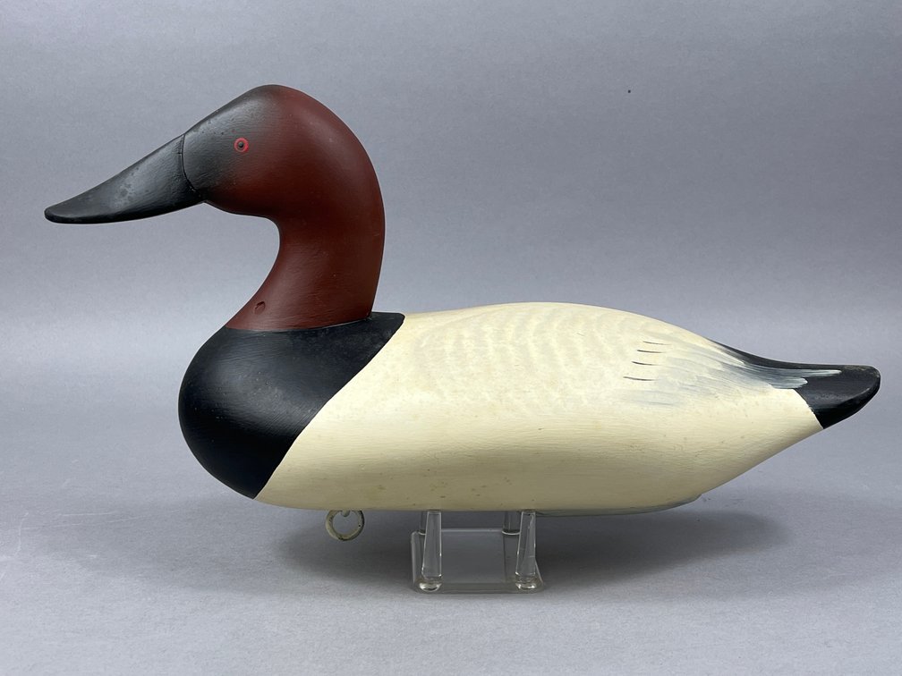 Canvasback by Charlie Bryan