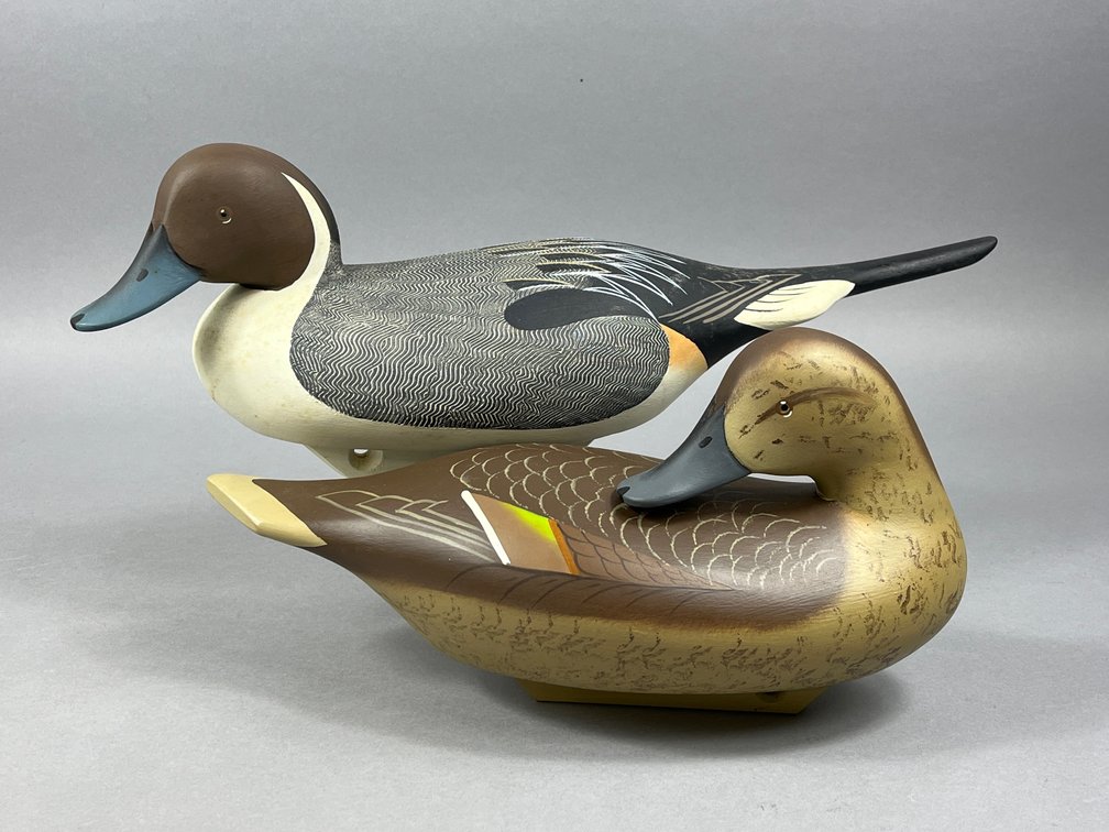 Pintail Pair by Charlie Bryan