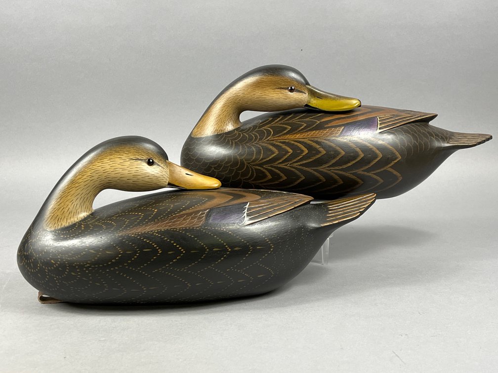 Black Duck Pair by Glenn Cooke
