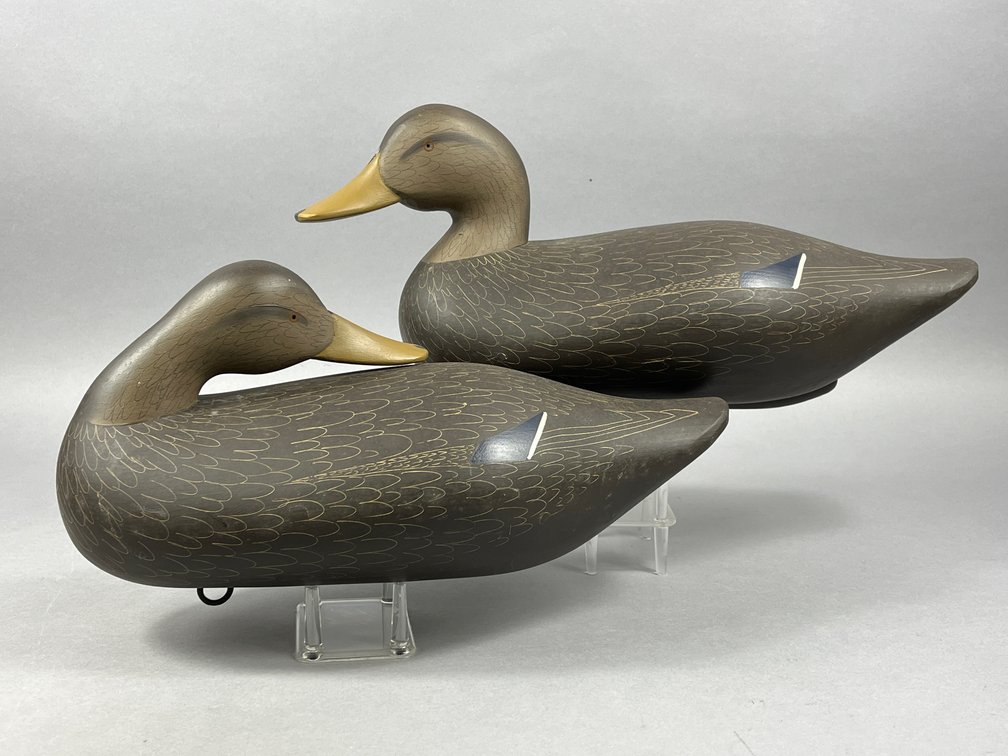 Black Duck Pair by Charlie Bryan