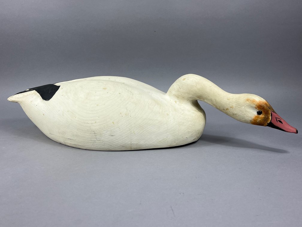 Snow Goose by Robert Watson Sr