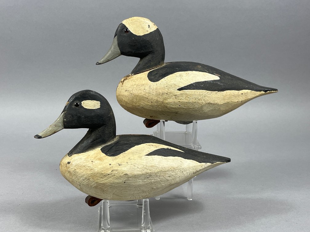 Bufflehead Pair stamped RLW 