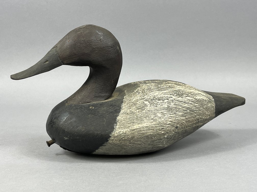 Canvasback by Capt Don Ewell 