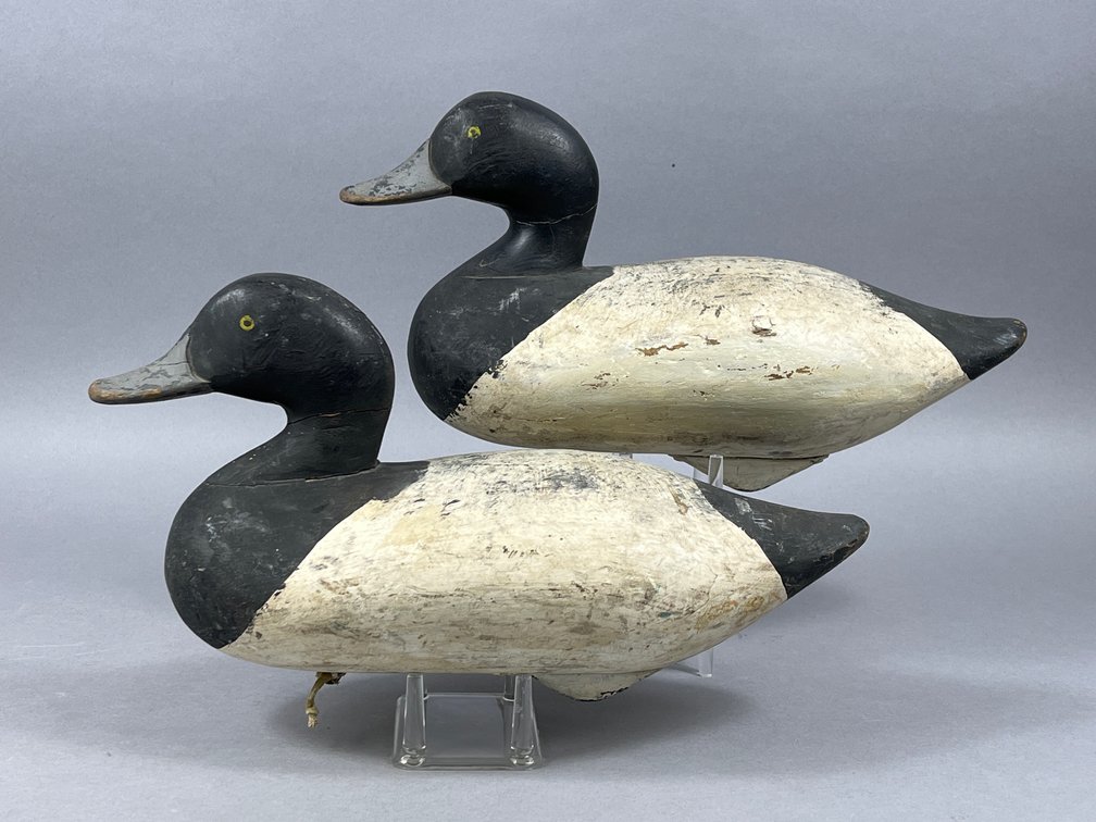 Bluebill Pair by R Madison Mitchell 